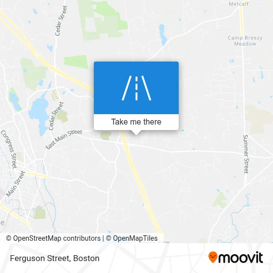 Ferguson Street map
