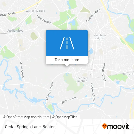 Cedar Springs Lane map