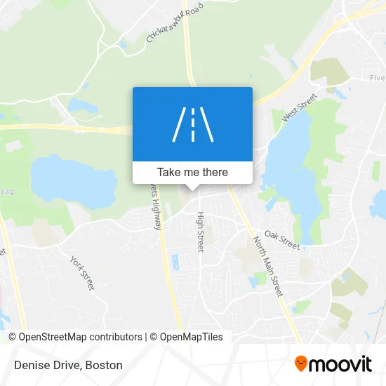 Denise Drive map