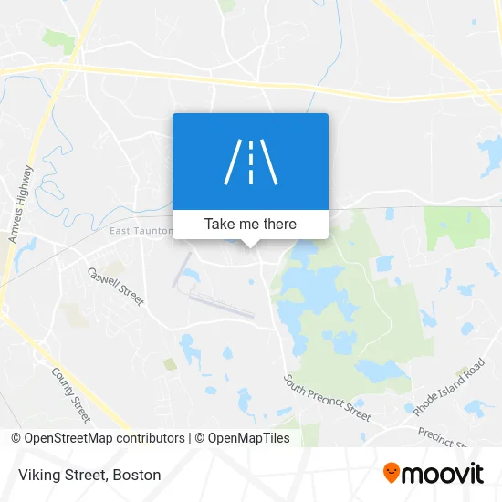 Viking Street map