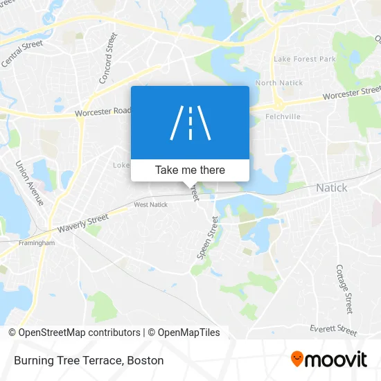 Burning Tree Terrace map