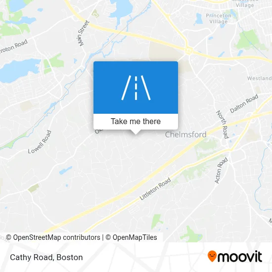 Cathy Road map