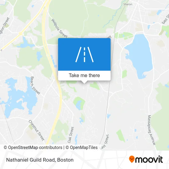 Nathaniel Guild Road map