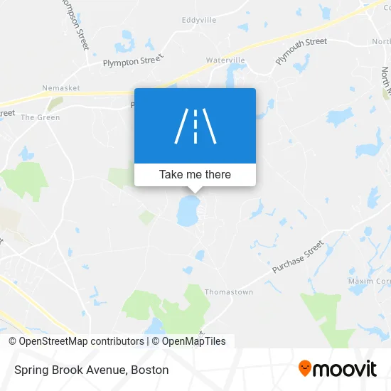Spring Brook Avenue map