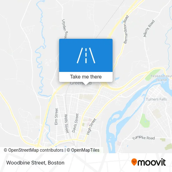 Woodbine Street map