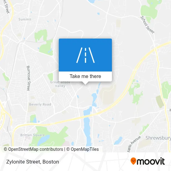 Zylonite Street map