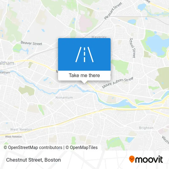 Chestnut Street map