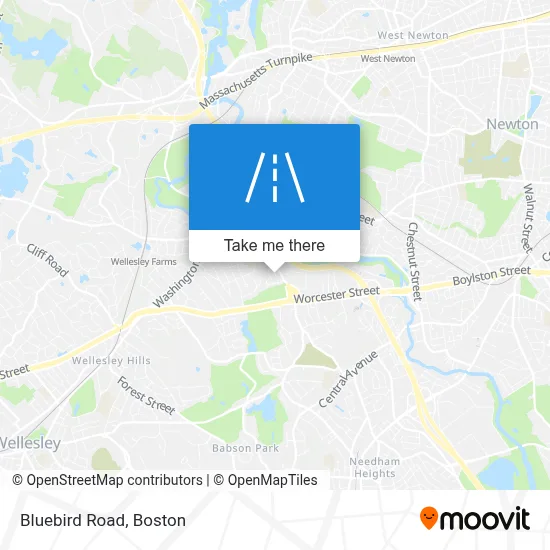 Bluebird Road map