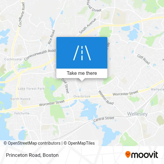 Princeton Road map