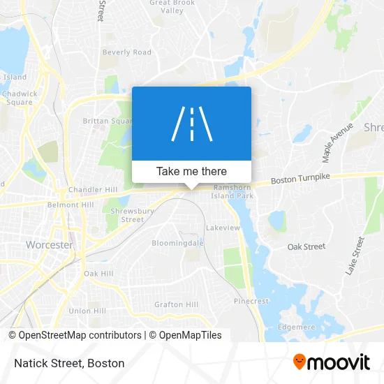Natick Street map