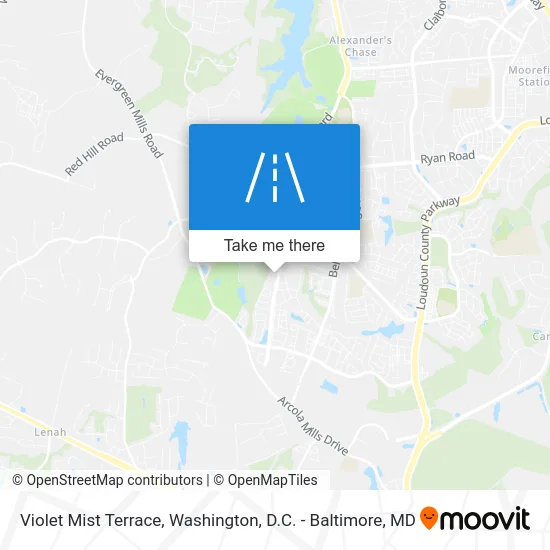 Violet Mist Terrace map