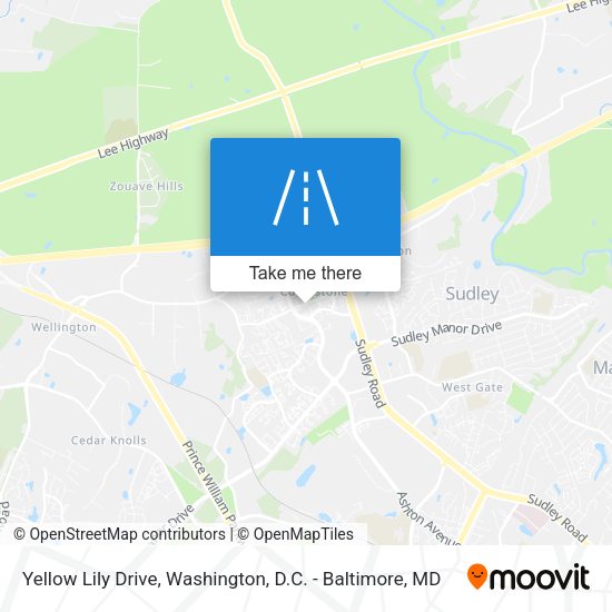 Yellow Lily Drive map