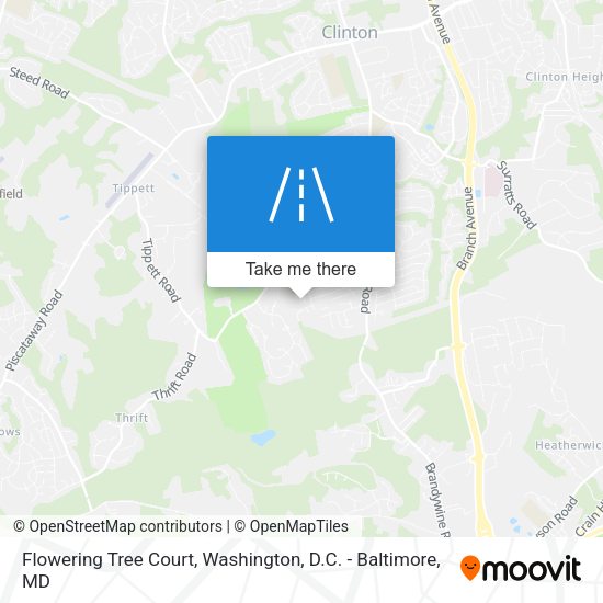 Mapa de Flowering Tree Court