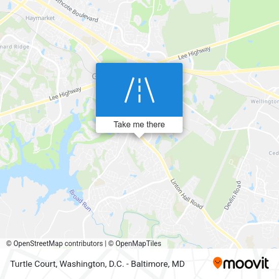 Turtle Court map