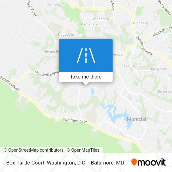 Box Turtle Court map