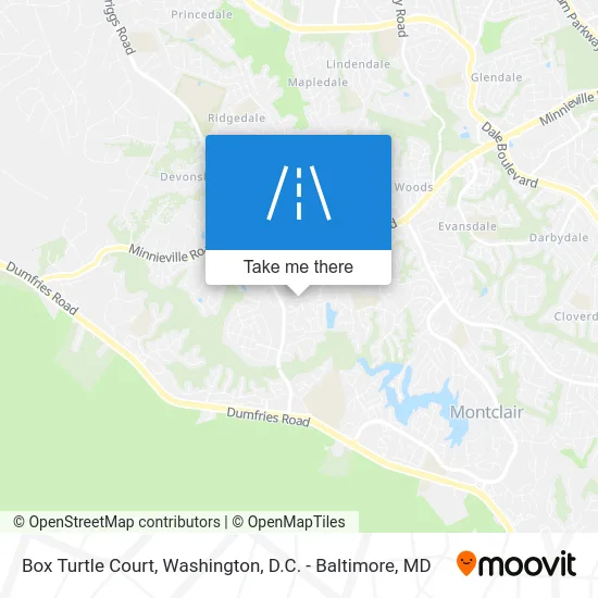 Box Turtle Court map