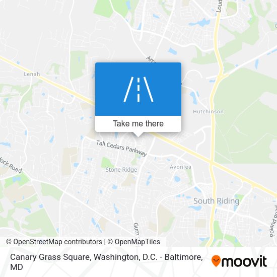 Canary Grass Square map