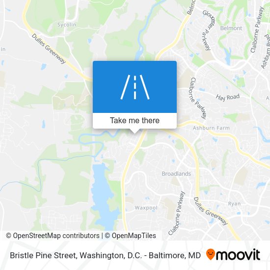 Bristle Pine Street map
