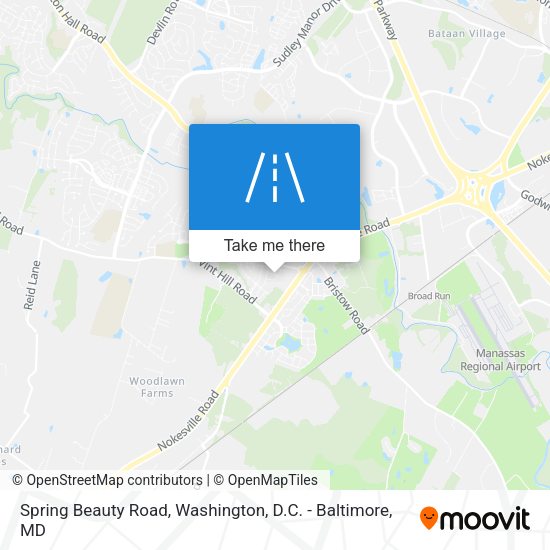 Spring Beauty Road map