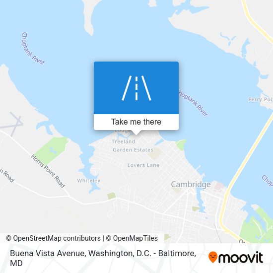 Mapa de Buena Vista Avenue