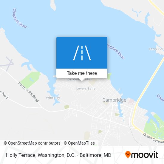 Holly Terrace map