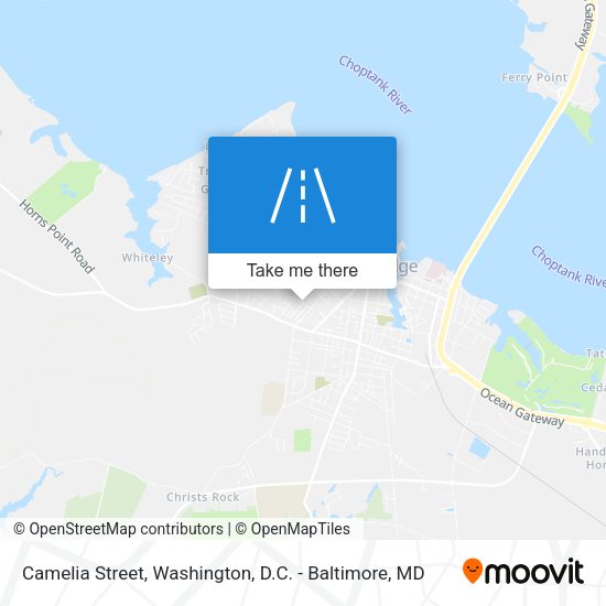 Camelia Street map