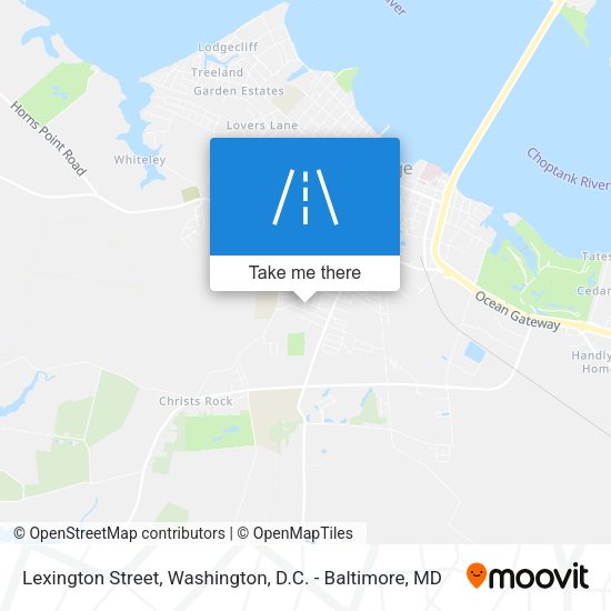Lexington Street map