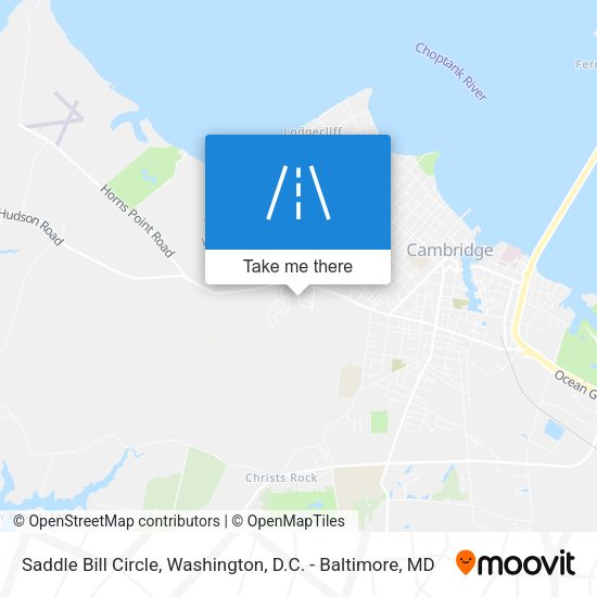 Saddle Bill Circle map