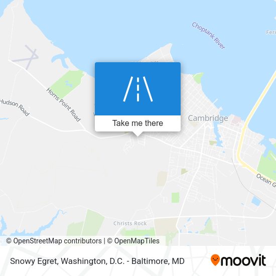 Snowy Egret map