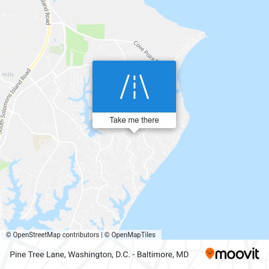 Mapa de Pine Tree Lane