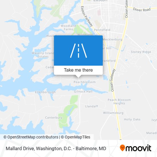 Mallard Drive map