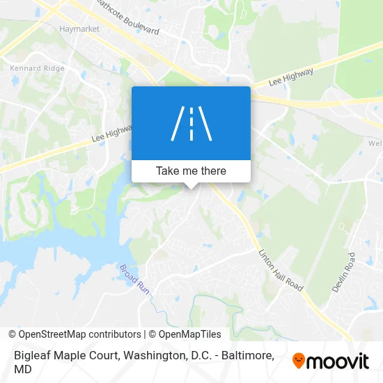 Bigleaf Maple Court map