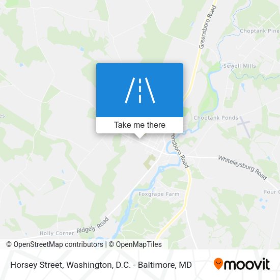 Horsey Street map