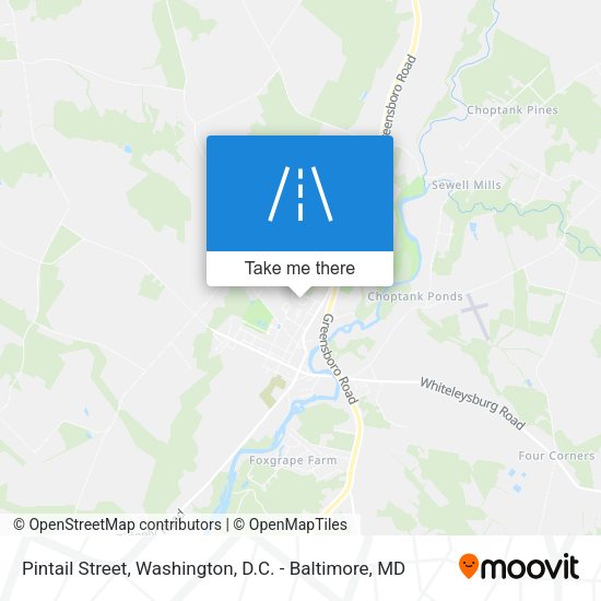 Pintail Street map