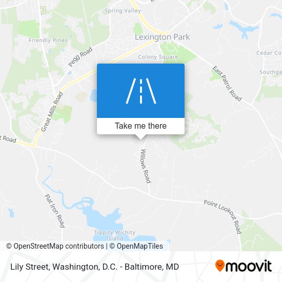 Lily Street map