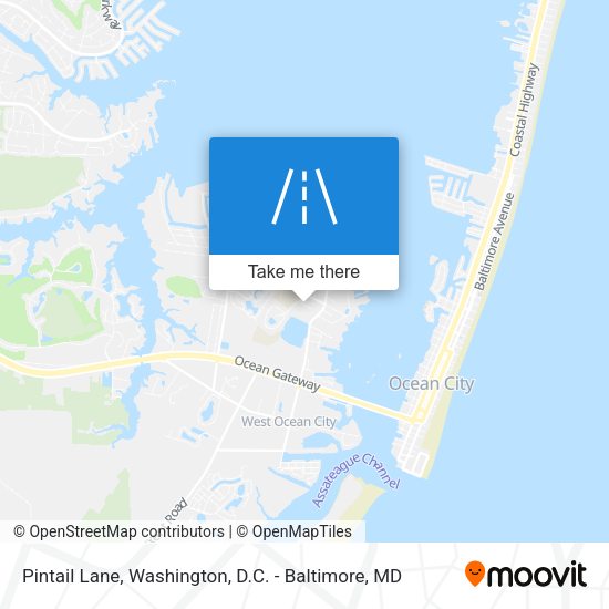 Pintail Lane map