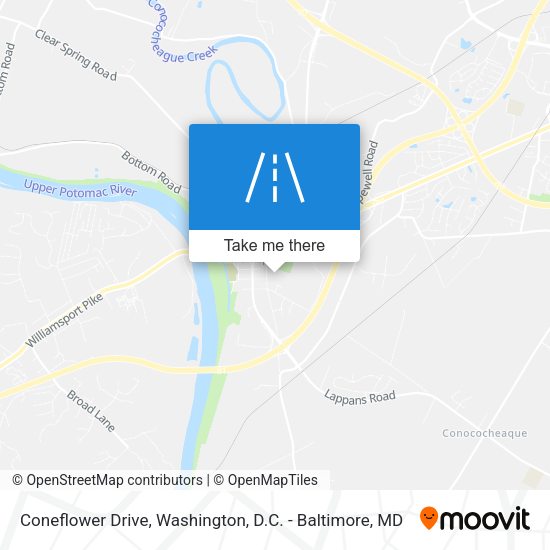 Coneflower Drive map