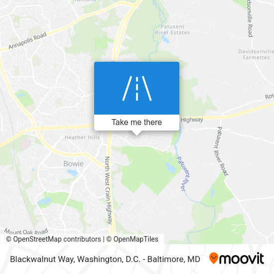 Blackwalnut Way map