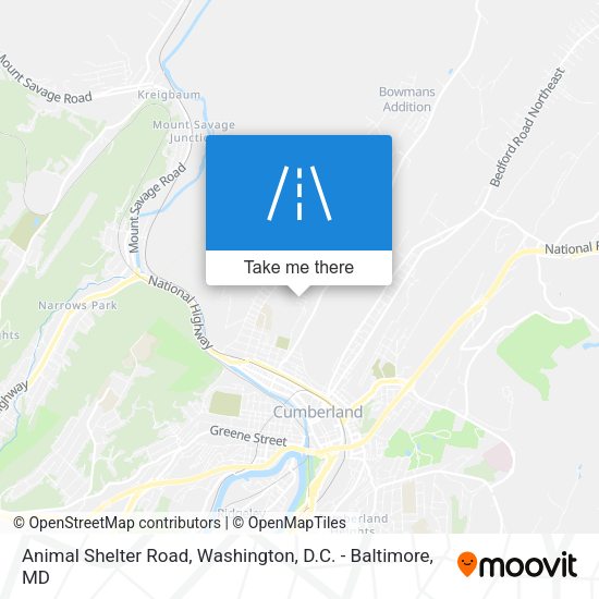 Animal Shelter Road map