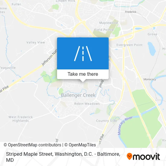 Striped Maple Street map