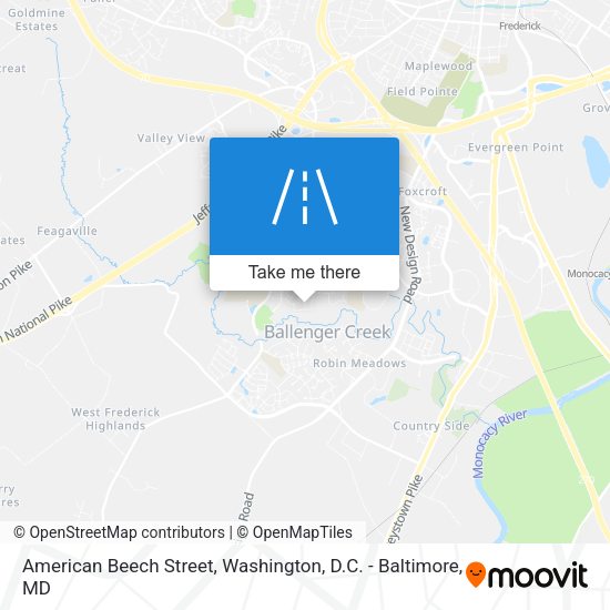American Beech Street map