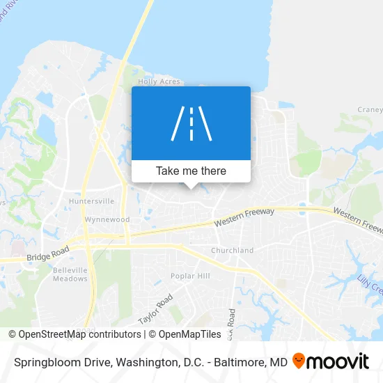 Springbloom Drive map