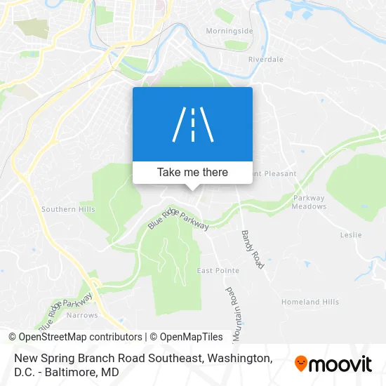 New Spring Branch Road Southeast map