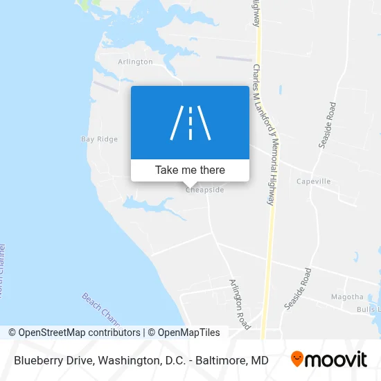 Blueberry Drive map