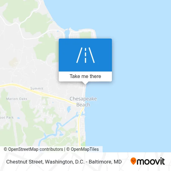 Chestnut Street map
