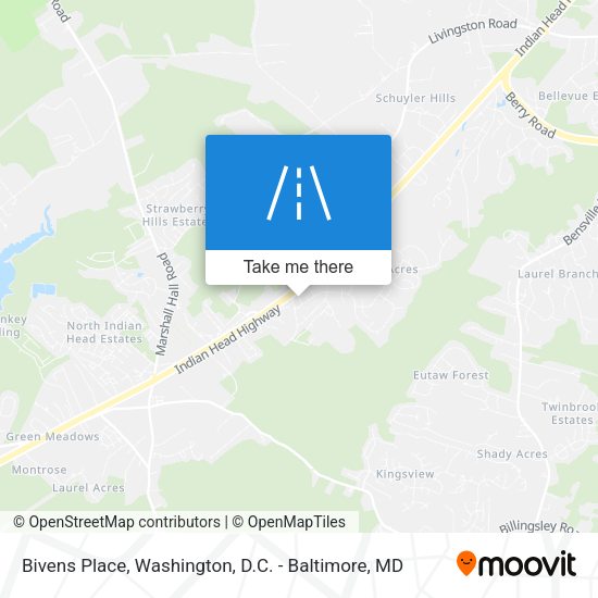Bivens Place map