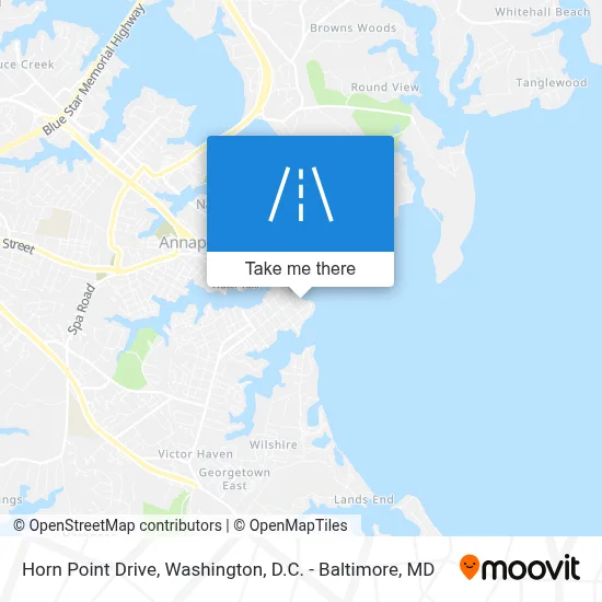 Horn Point Drive map