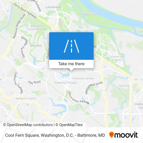 Cool Fern Square map