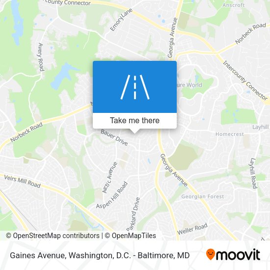 Gaines Avenue map