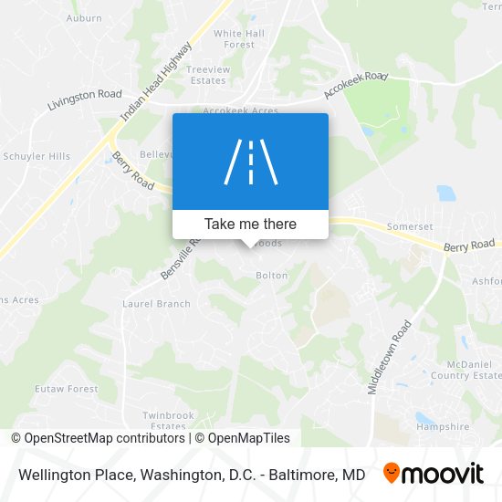 Wellington Place map
